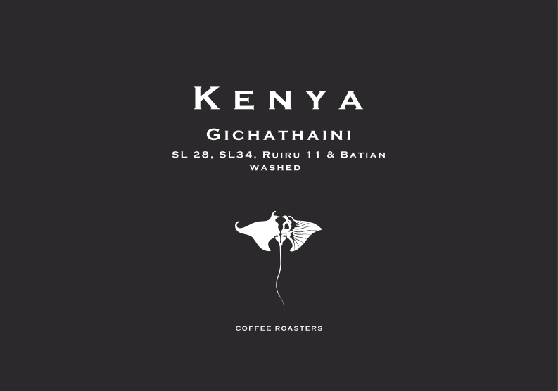Manta Ray - Kenya Gichathaini
