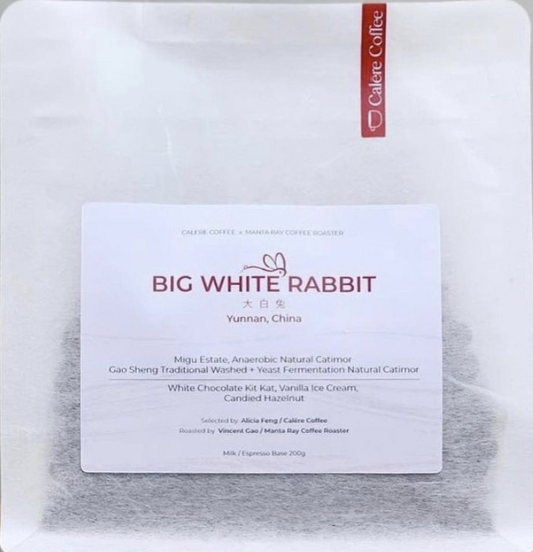Big White Rabbit