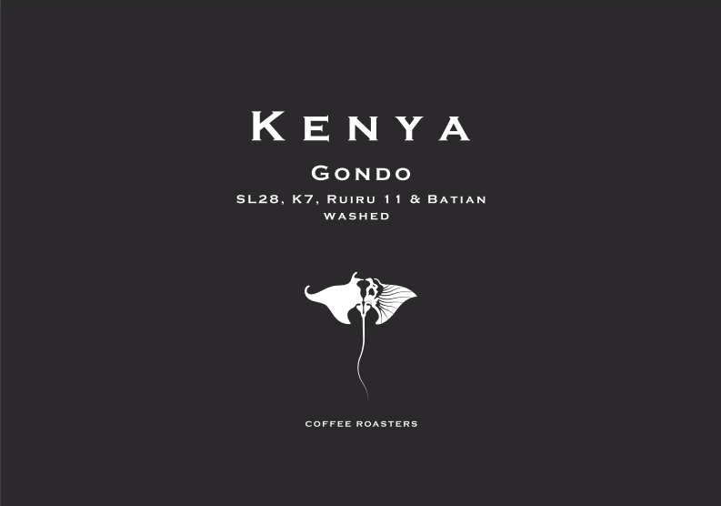Manta Ray - Kenya Gondo